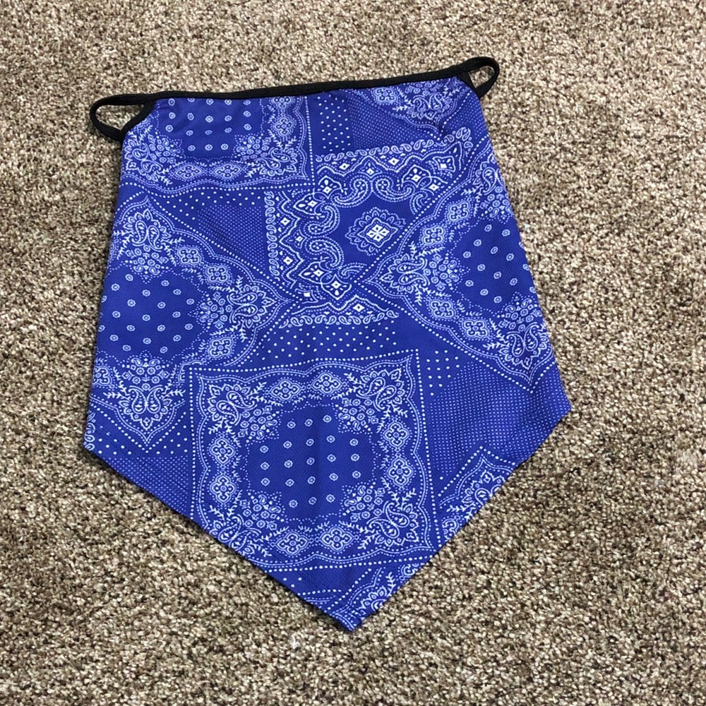 Blue Paisley Face Mask